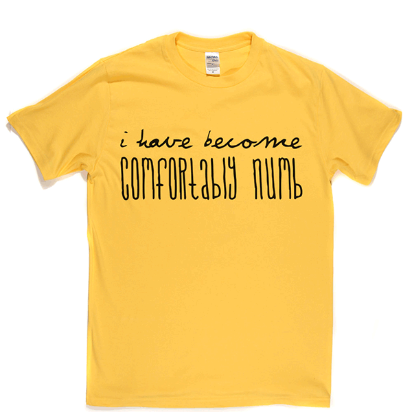 Comfortably Numb T Shirt product image 7