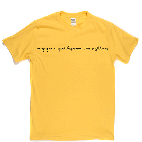 Hanging On In Quiet Desperation T-shirt product image 8