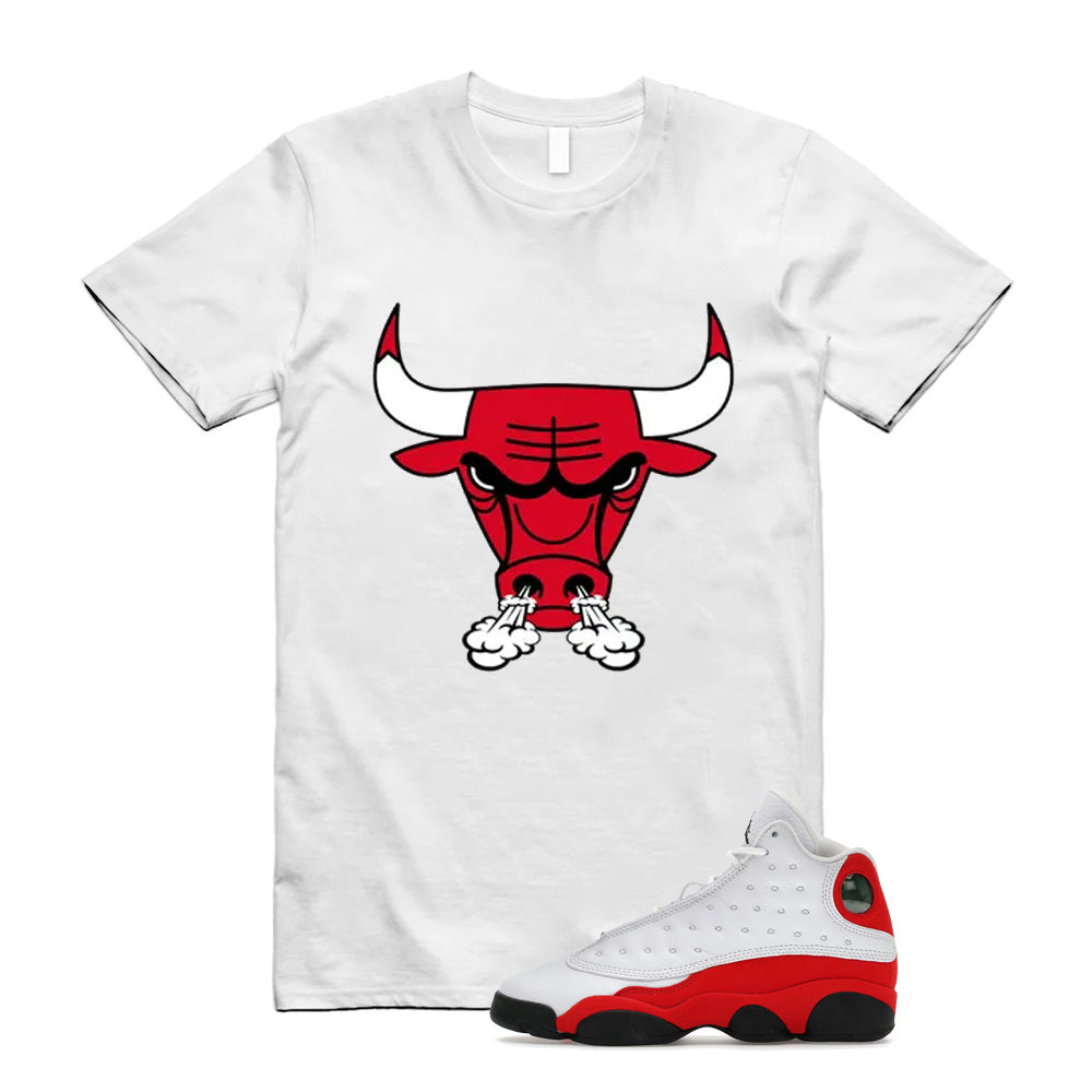 Air 13 Retro OG Chicago 2026 Shirt To Match Bull Sneaker T-Shirt