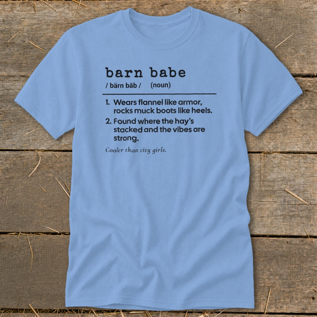 Barn Babe Definition Classic Tee product image 6