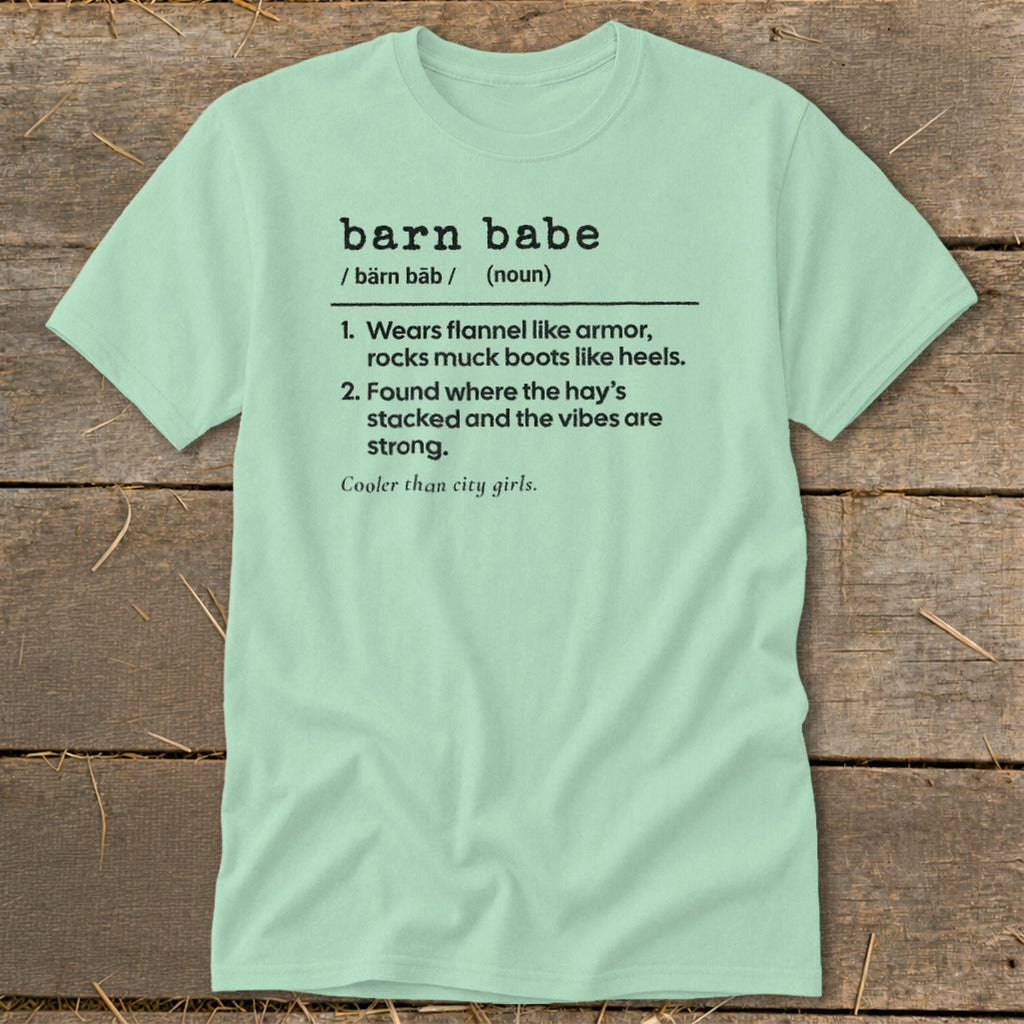 Barn Babe Definition Classic Tee product image 8