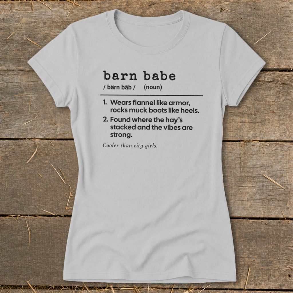 Barn Babe Definition Ladies Tee product image 3