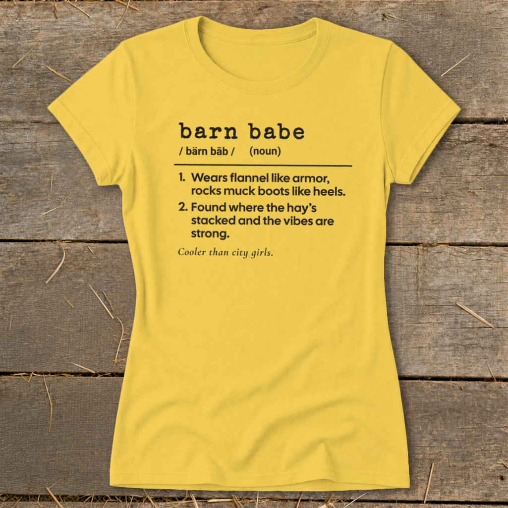 Barn Babe Definition Ladies Tee product image 5