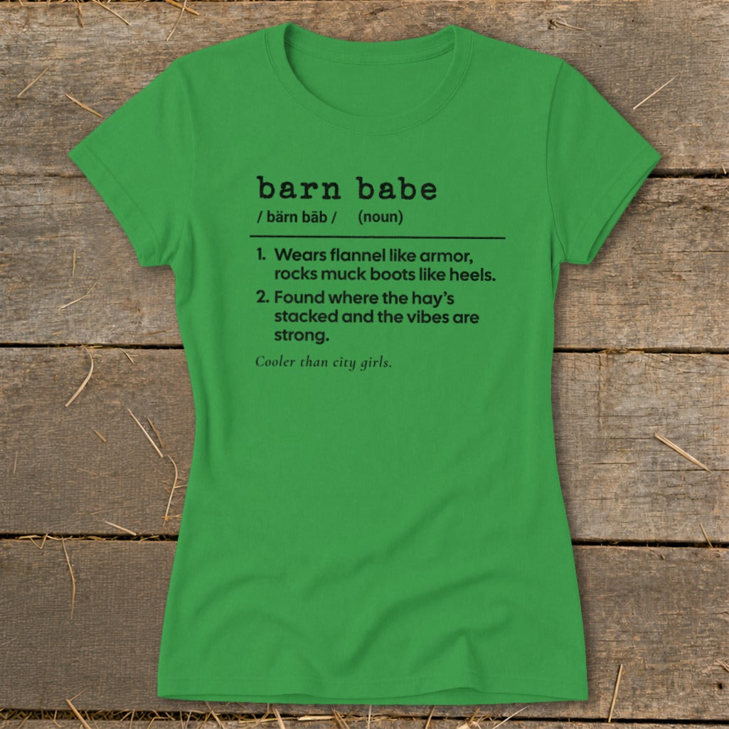 Barn Babe Definition Ladies Tee product image 6