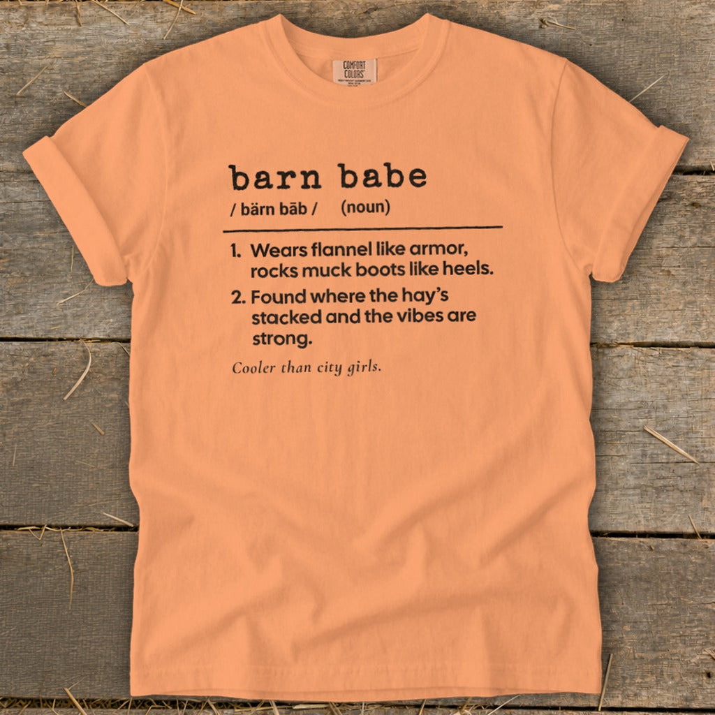 Barn Babe Definition Signature Tee product image 8