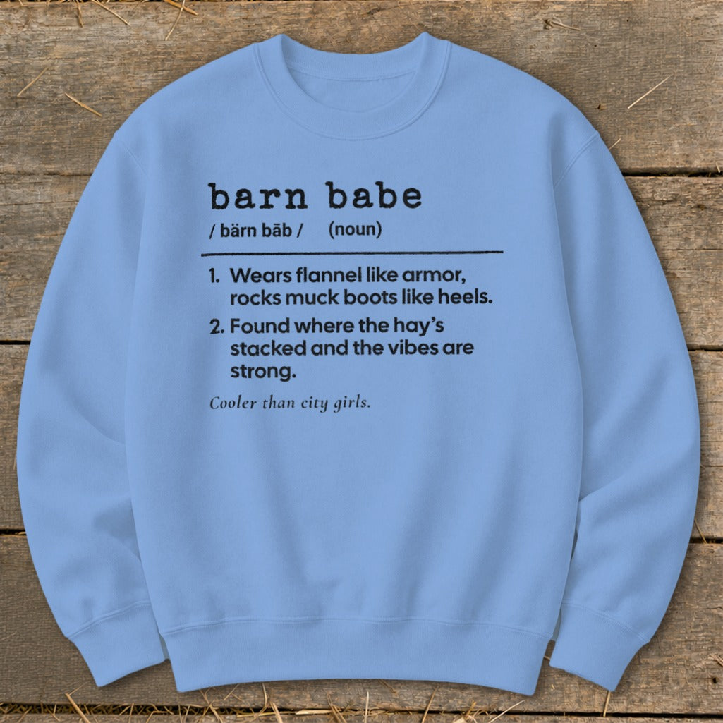 Barn Babe Definition Sweatshirt product image 5