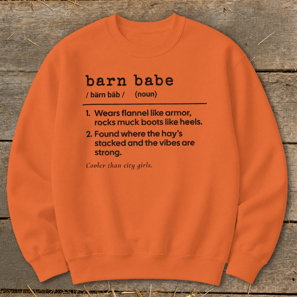 Barn Babe Definition Sweatshirt product image 8