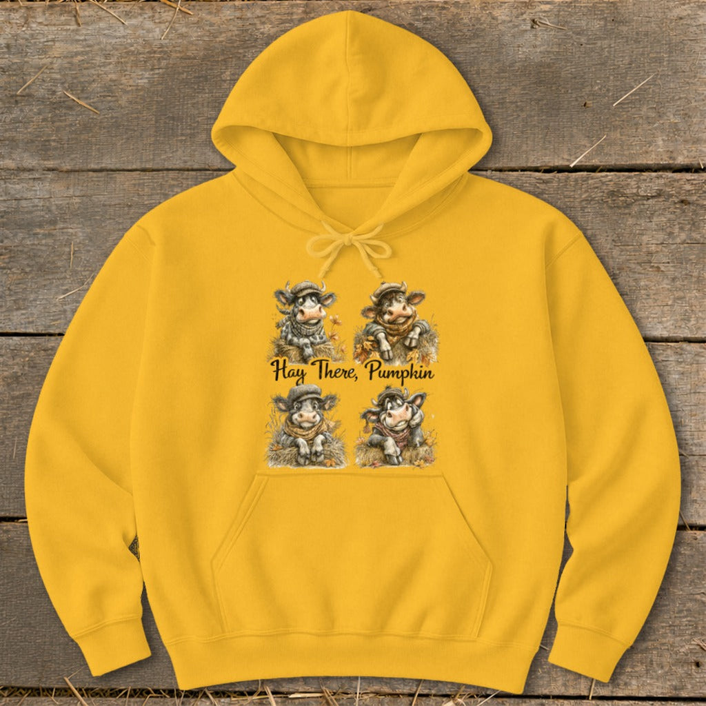Hay There Pumpkin Hoodie product image 3