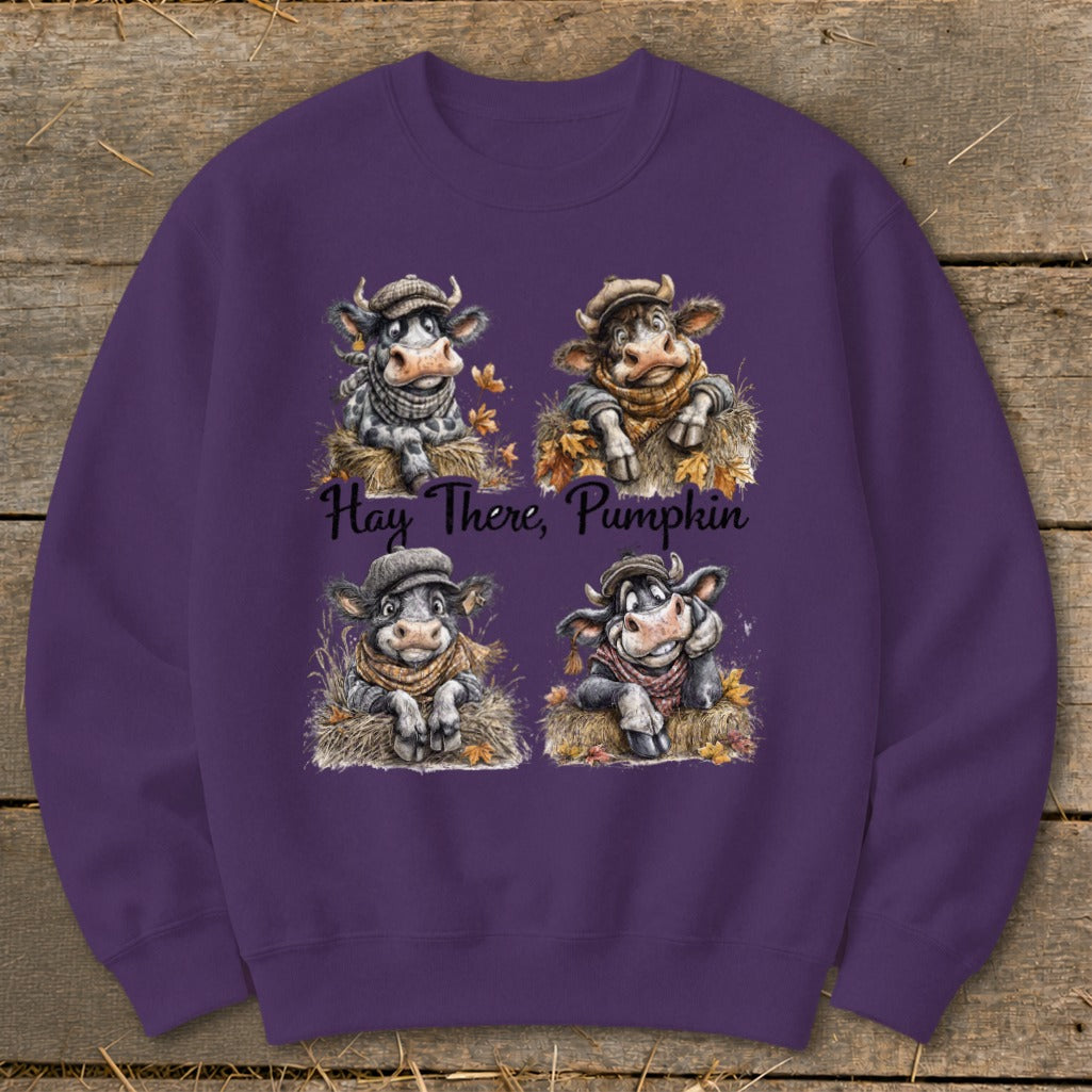Hay There Pumpkin Sweatshirt product image 3
