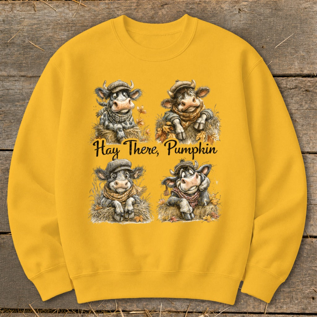 Hay There Pumpkin Sweatshirt product image 4