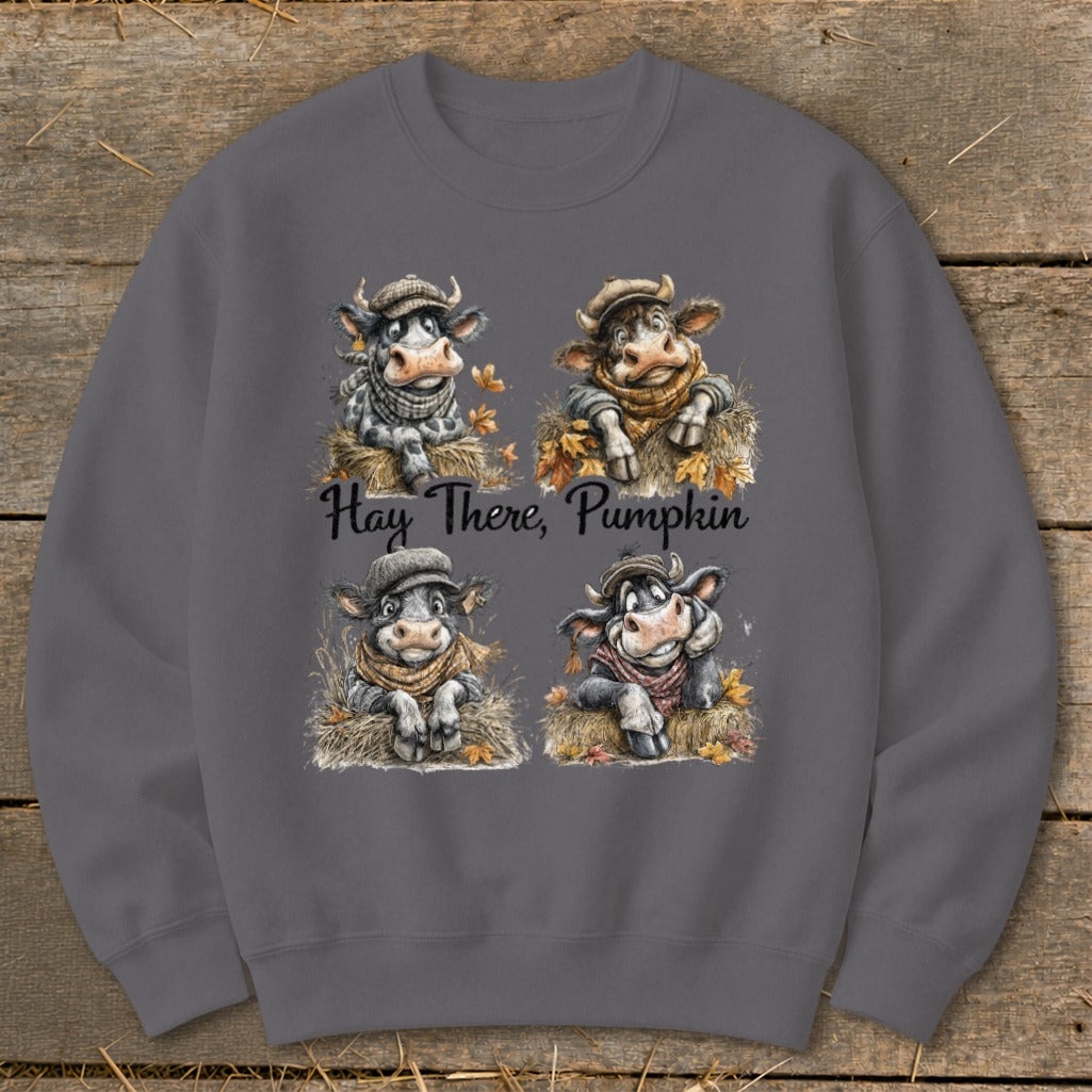 Hay There Pumpkin Sweatshirt product image 1