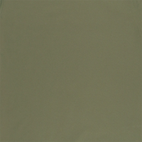 Mandolin T-shirt product image 14