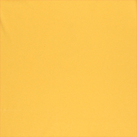 Mandolin T-shirt product image 6