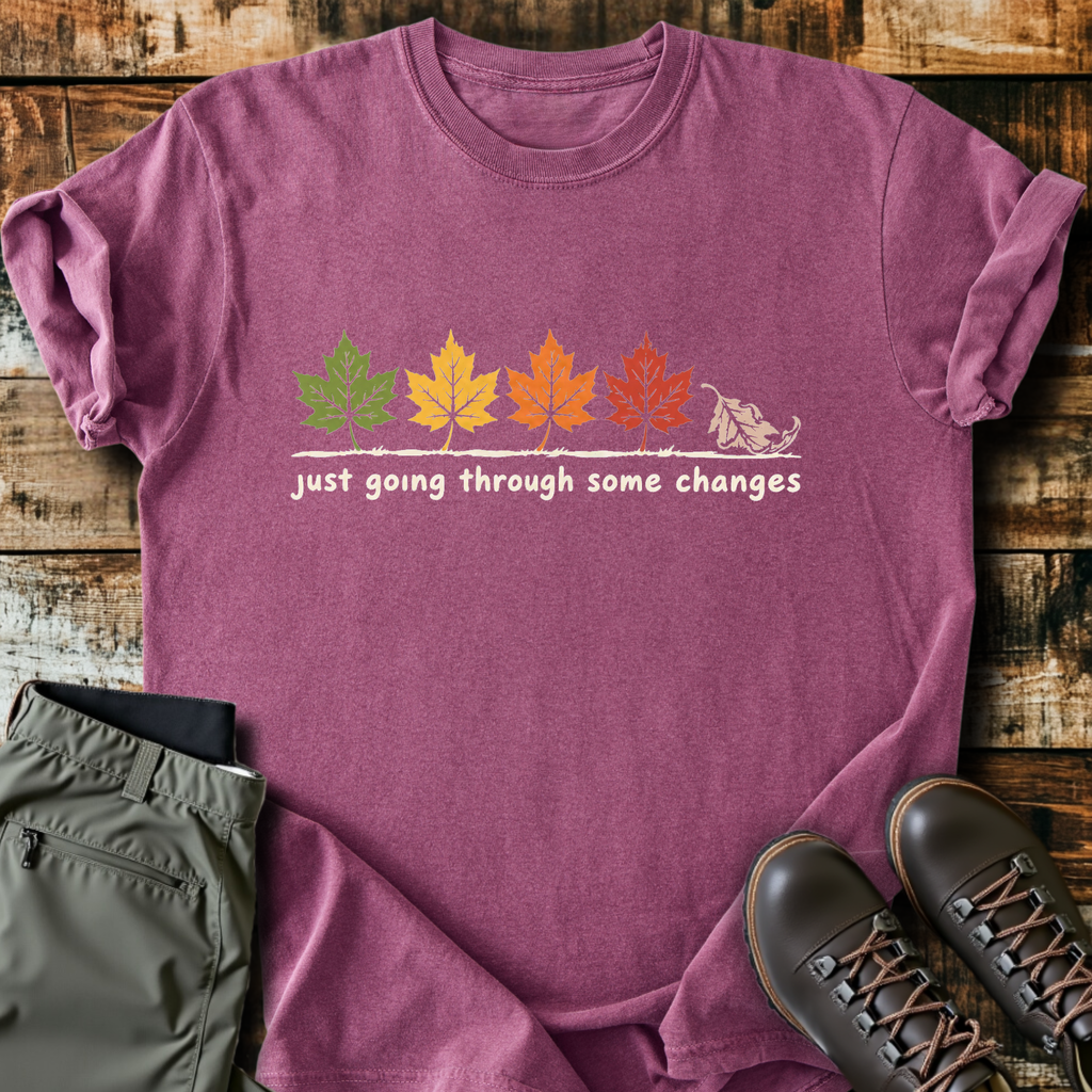 Going Through Some Changes T-Shirt product image 1