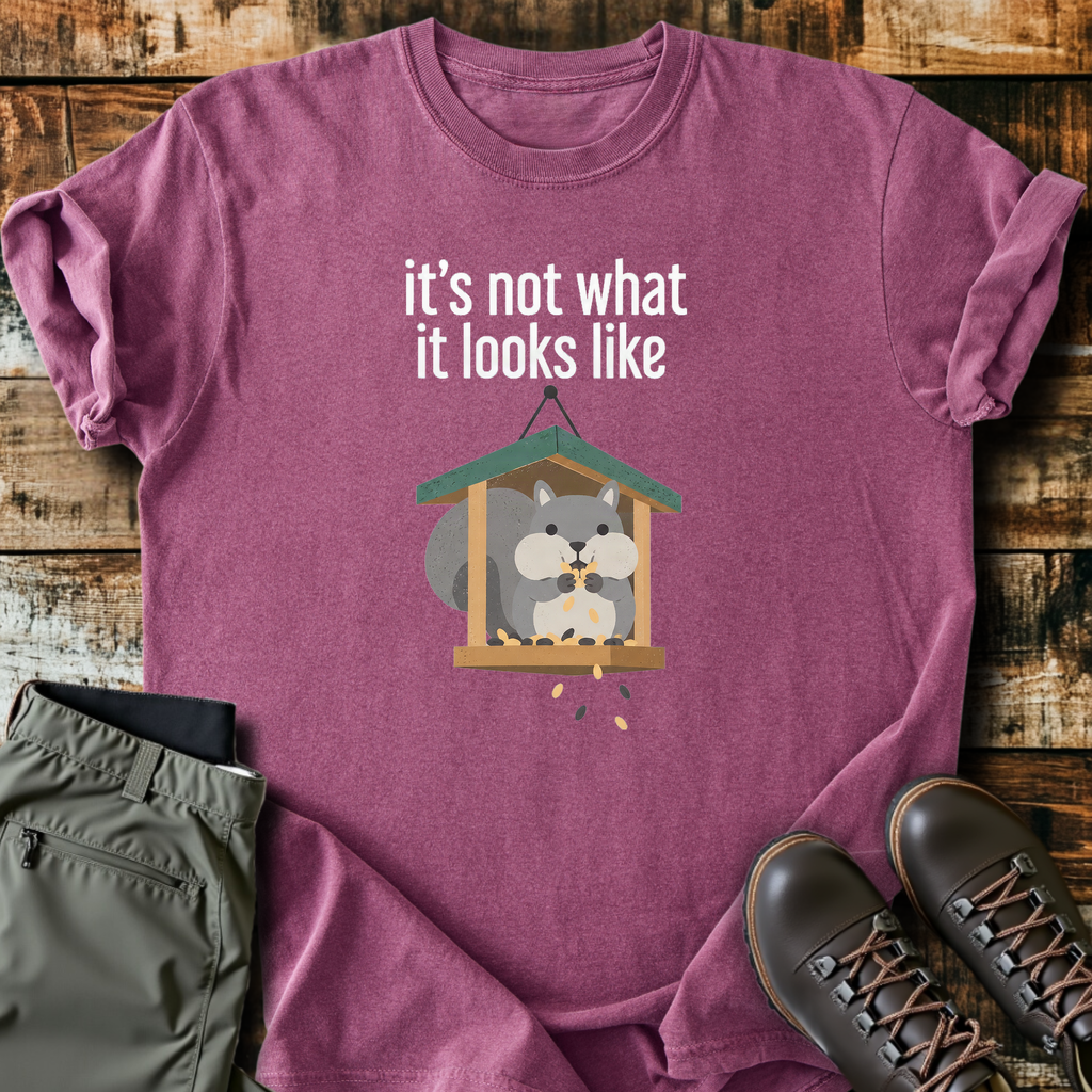Not What It Looks Like T-Shirt product image 2