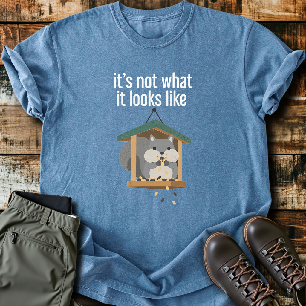 Not What It Looks Like T-Shirt product image 3