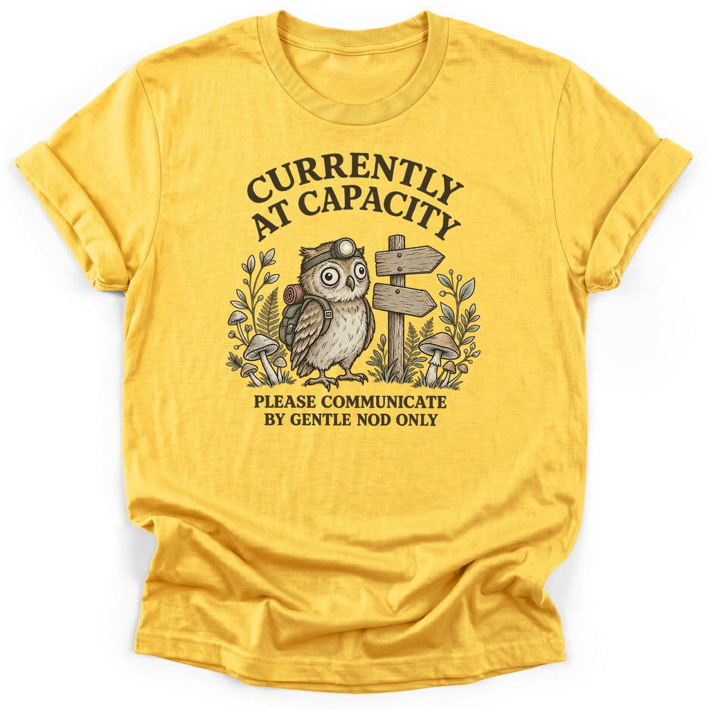 Currently At Capacity T-Shirt product image 1