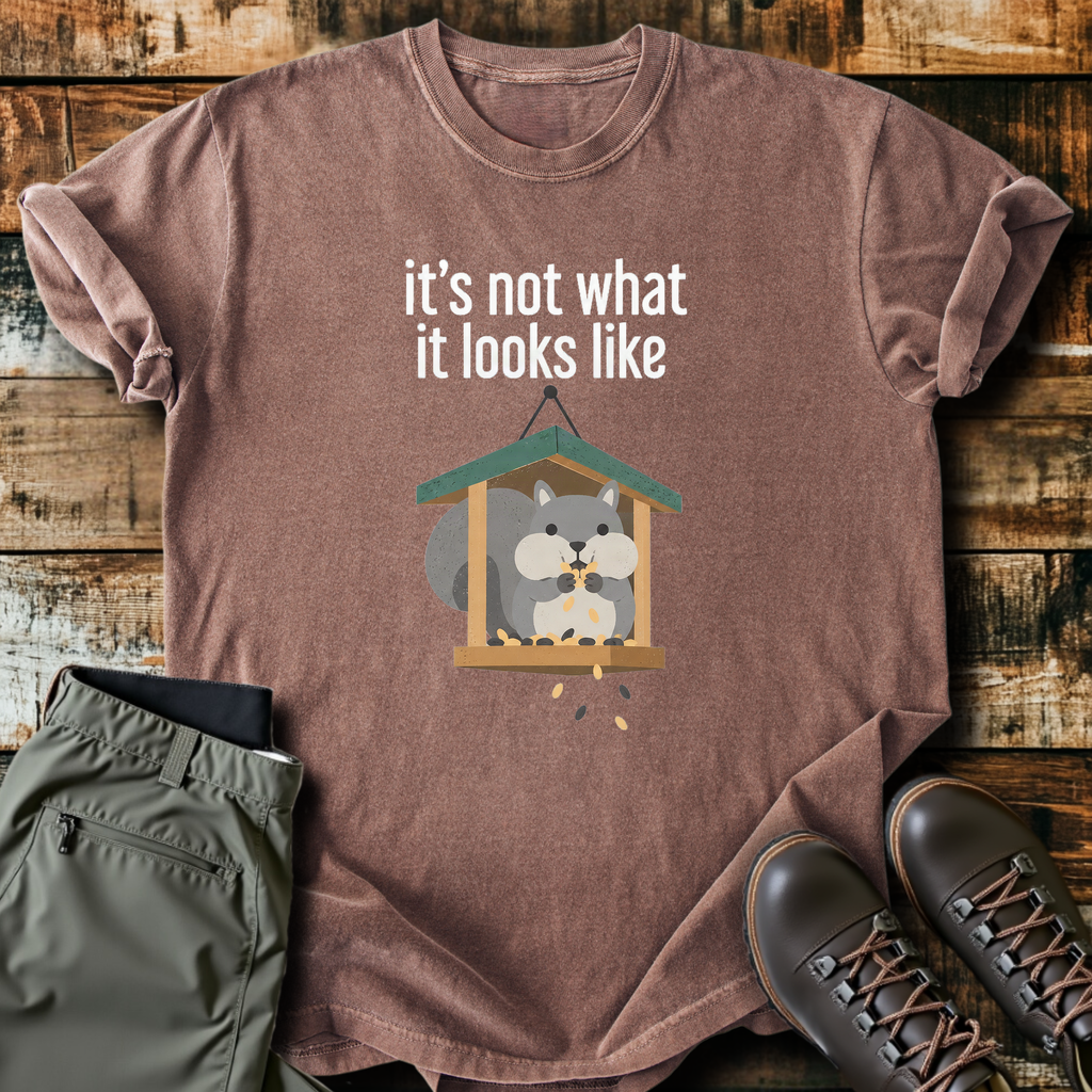 Not What It Looks Like T-Shirt product image 4