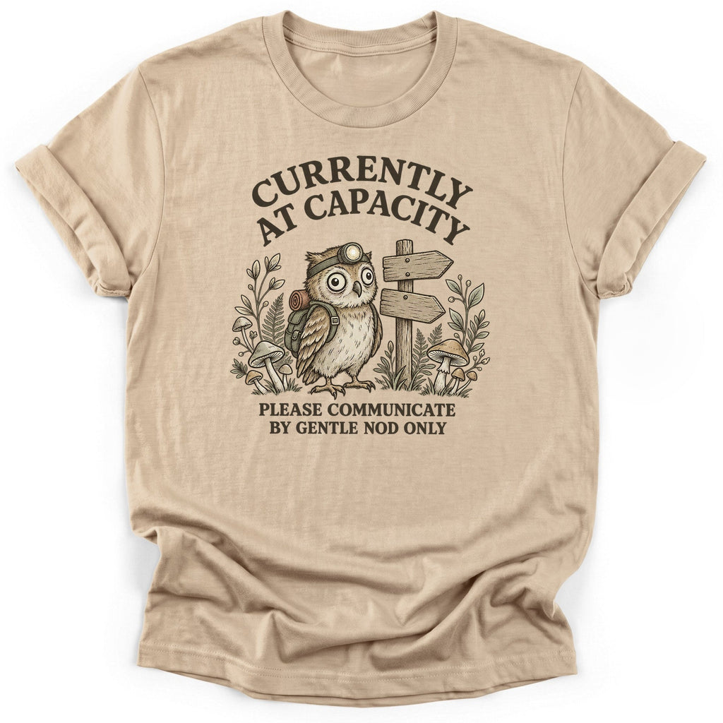 Currently At Capacity T-Shirt product image 3
