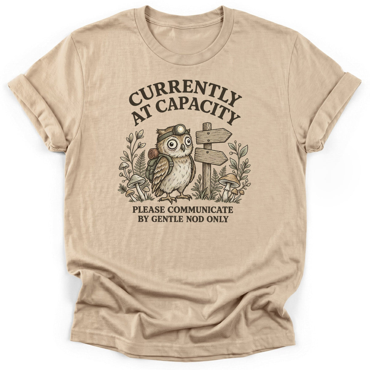 Currently At Capacity T-Shirt product image 3