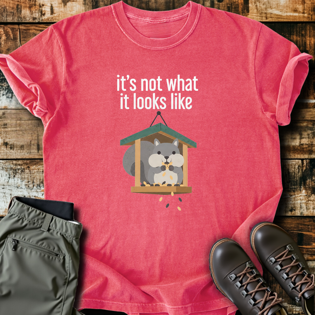 Not What It Looks Like T-Shirt product image 1
