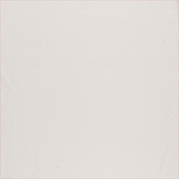 Mandolin T-shirt product image 8